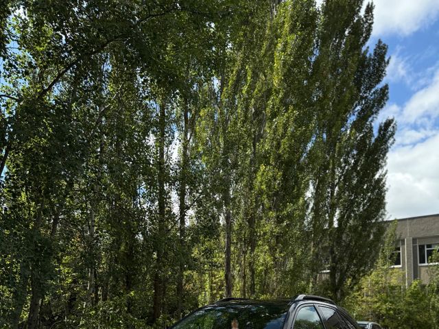Lexus RX - зображення 1