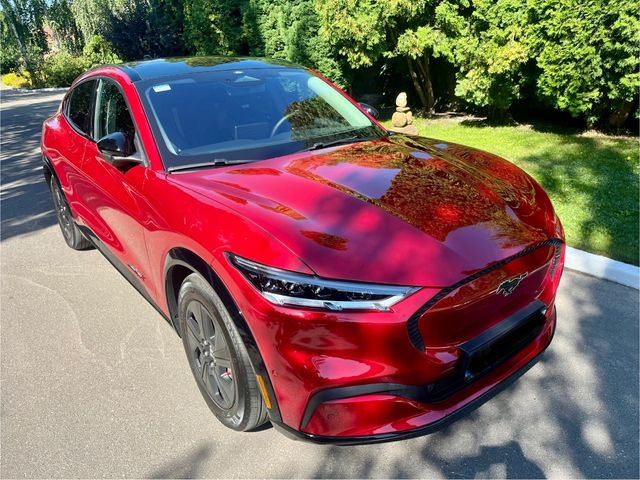 Ford Mustang Mach-E - зображення 3