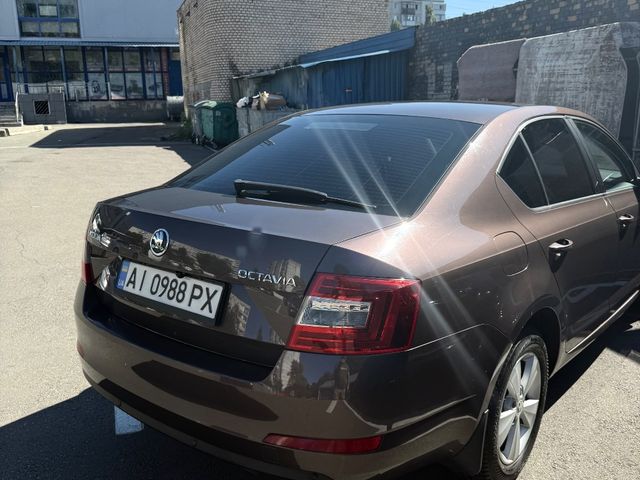 Skoda Octavia - зображення 5