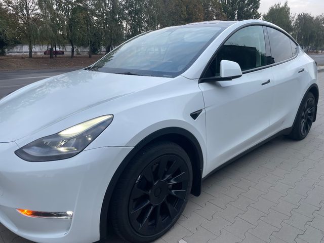 Tesla Model Y - зображення 5
