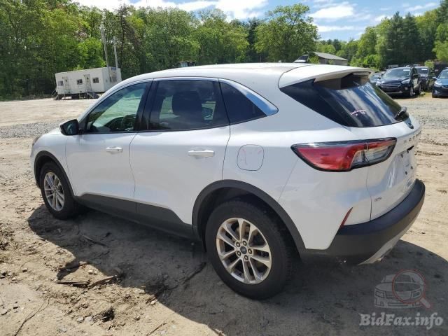 Ford Escape - зображення 2