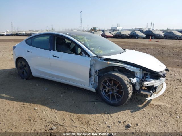 Tesla Model 3 - фото 3