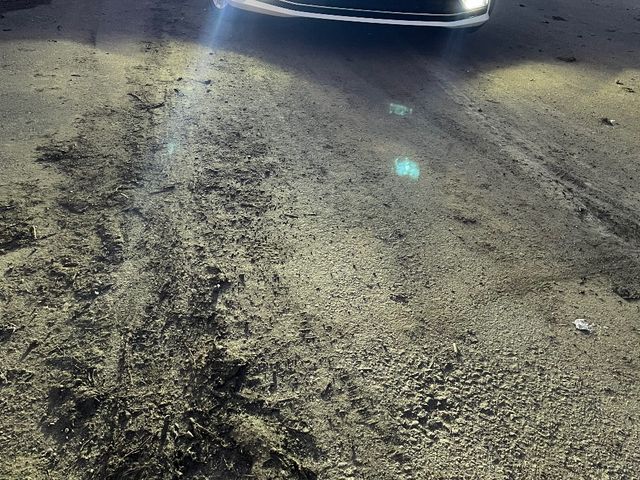 Volkswagen Passat - зображення 3