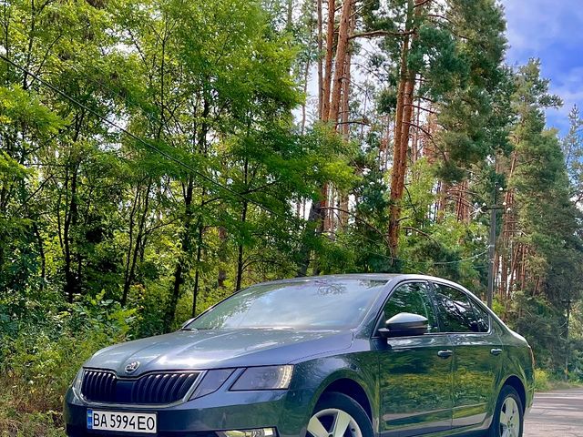 Skoda Octavia - фото 4