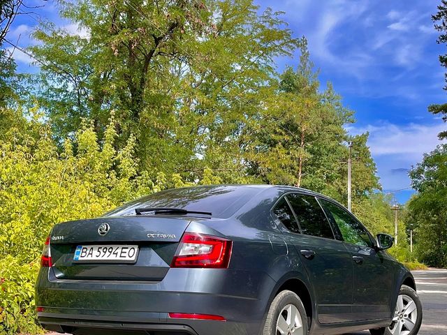Skoda Octavia - фото 3