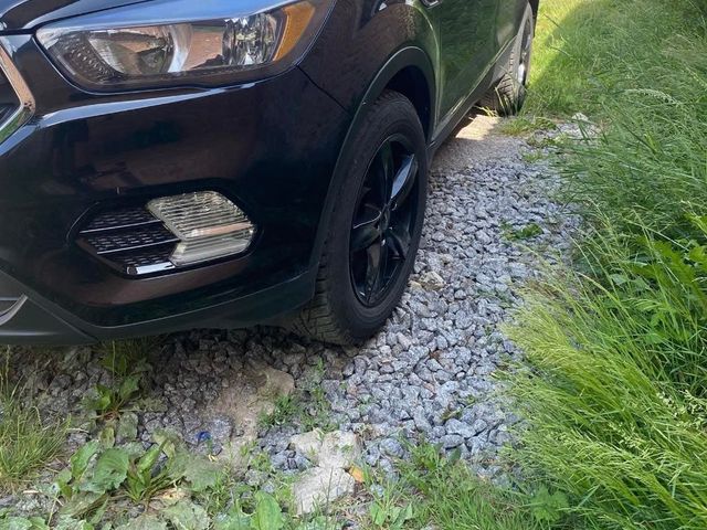 Ford Escape - зображення 4