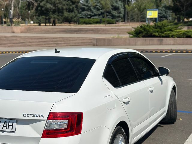 Skoda Octavia - зображення 4