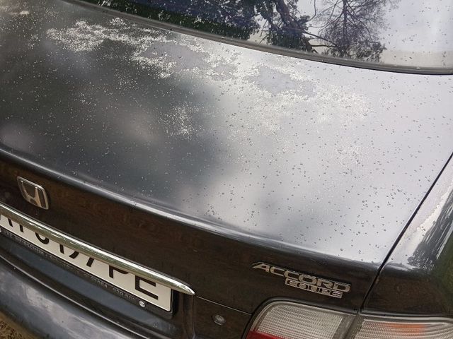 Honda Accord - зображення 5