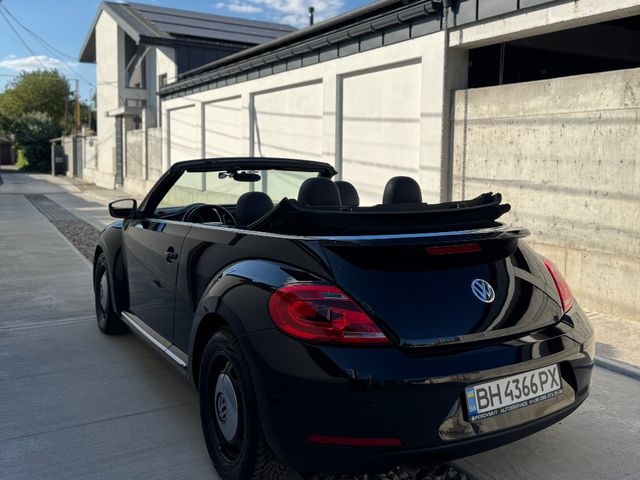 Volkswagen Beetle - зображення 2