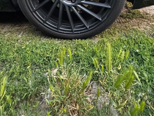 Audi A5 - фото 2