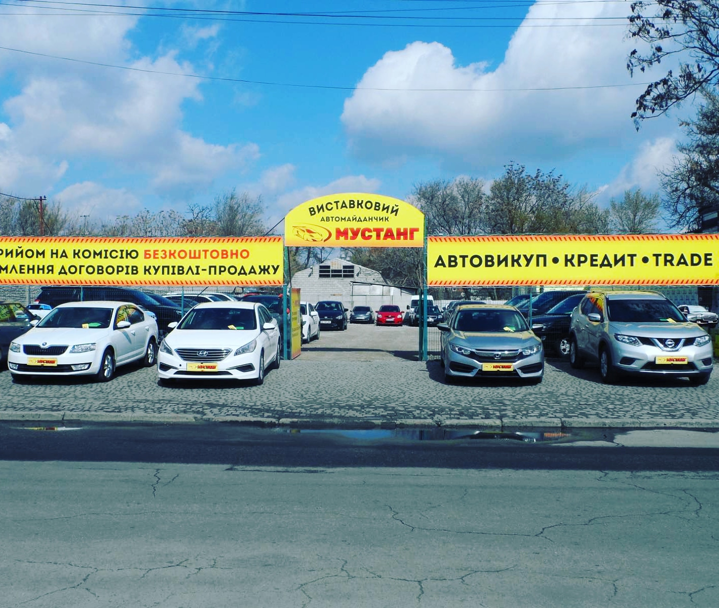 МУСТАНГ автосалон