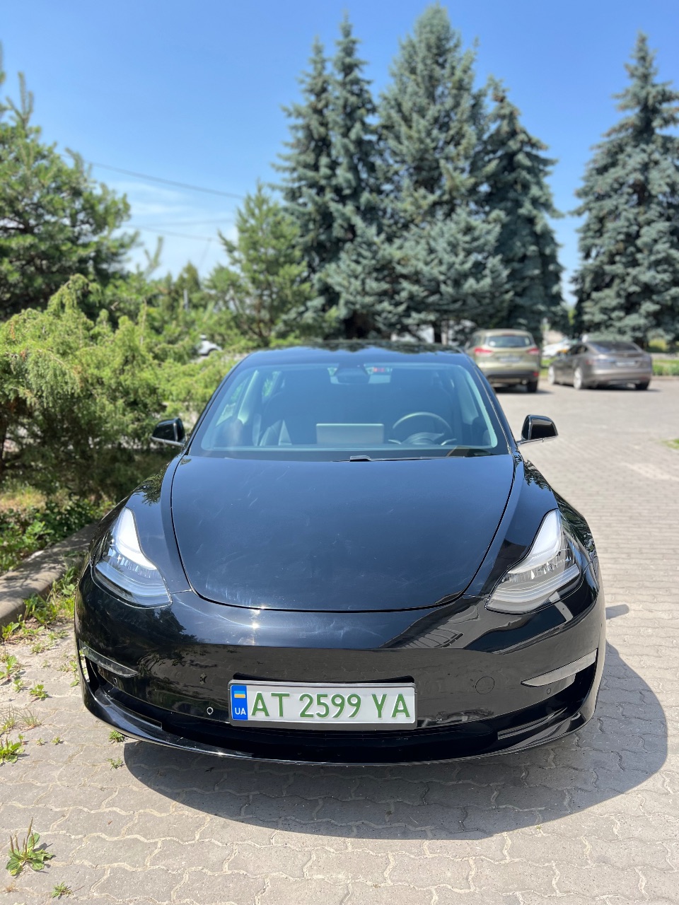 Tesla Model 3 - фото 27
