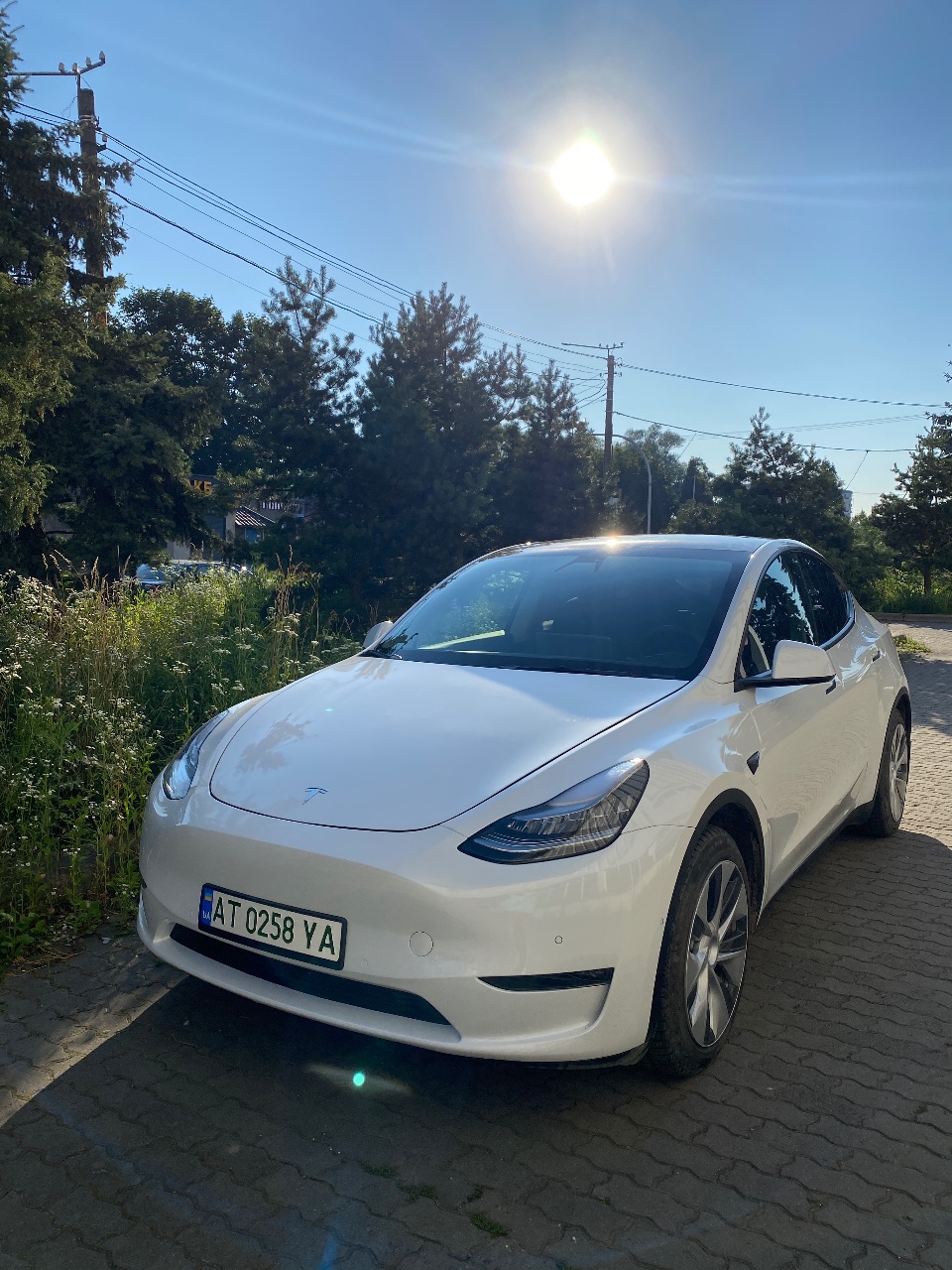 Tesla Model Y - фото 1
