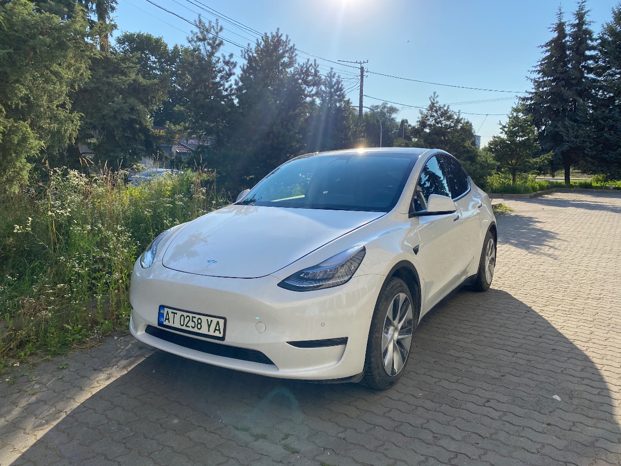 Tesla Model Y - фото 2