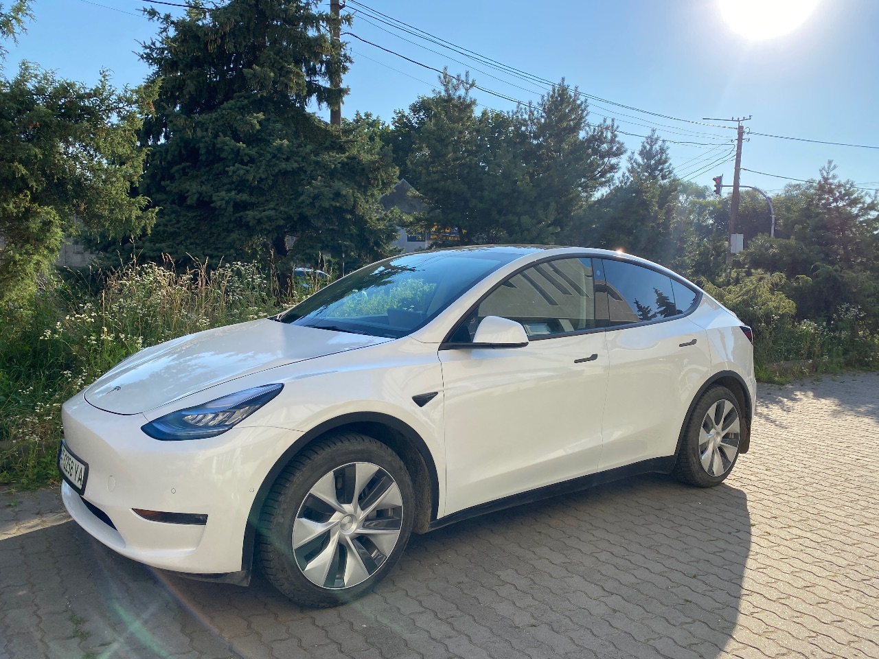 Tesla Model Y - фото 4