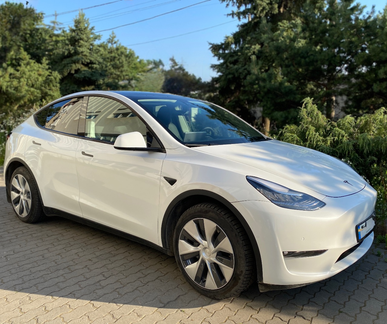 Tesla Model Y - фото 20