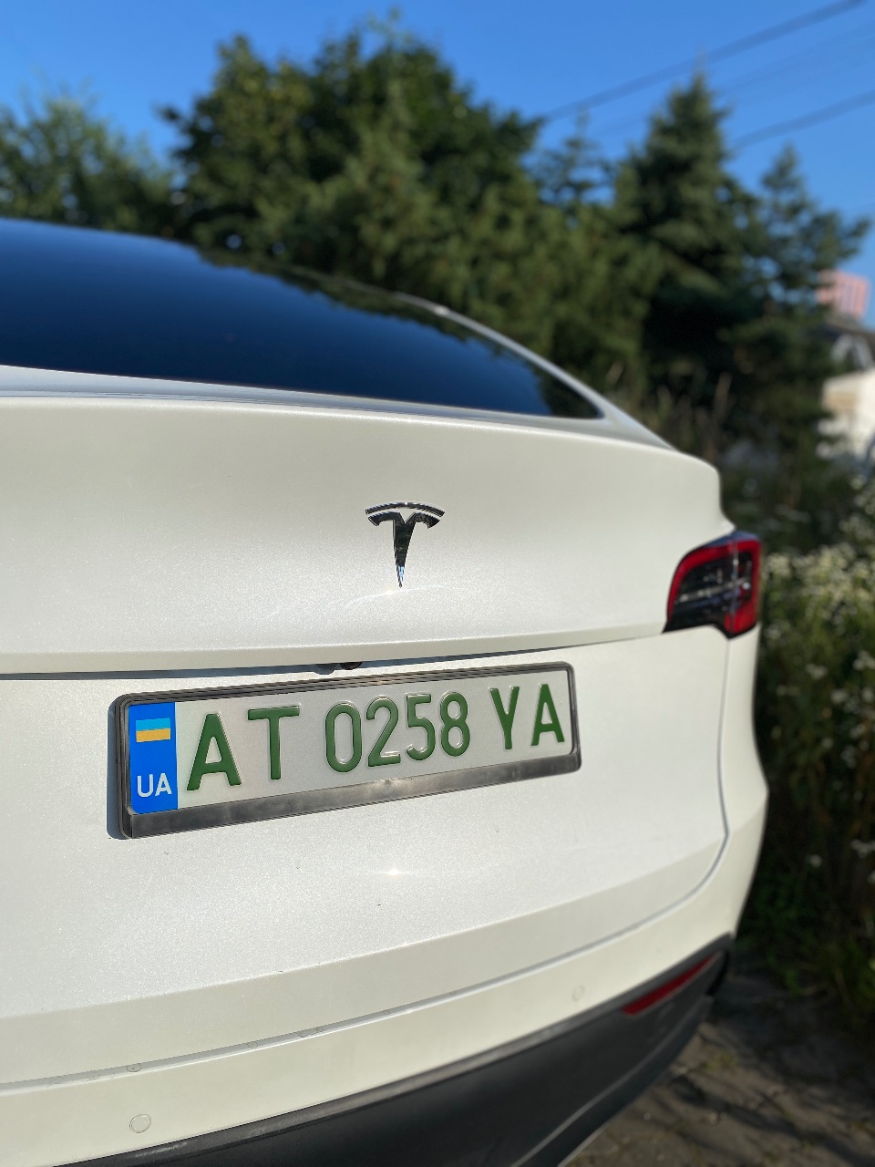 Tesla Model Y - фото 8