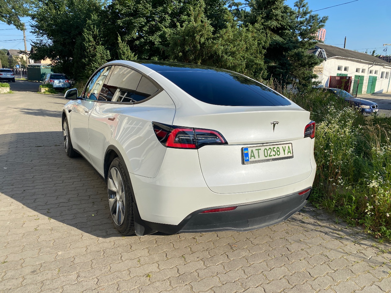 Tesla Model Y - фото 6