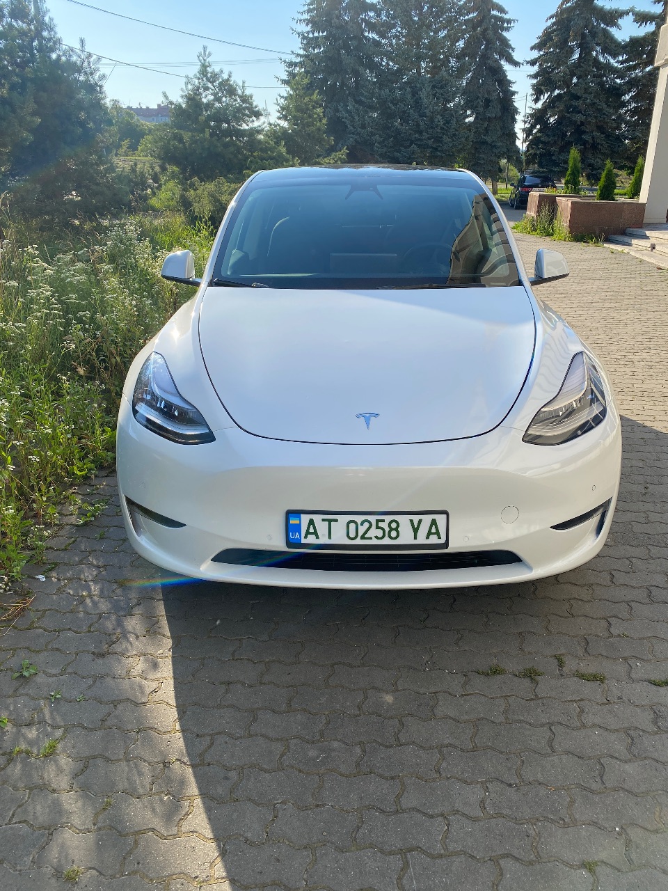 Tesla Model Y - фото 3