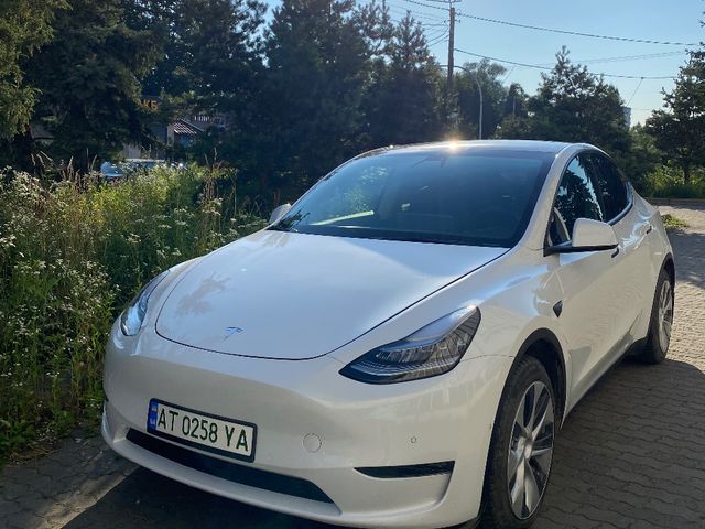 Tesla Model Y - фото 1