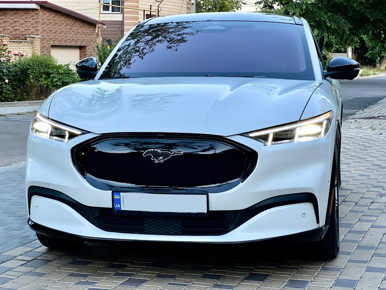 Ford Mustang Mach-E - фото 5