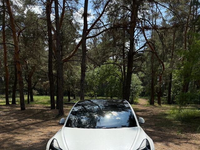 Tesla Model 3 2023, Дніпро, $22 500 - зображення 3