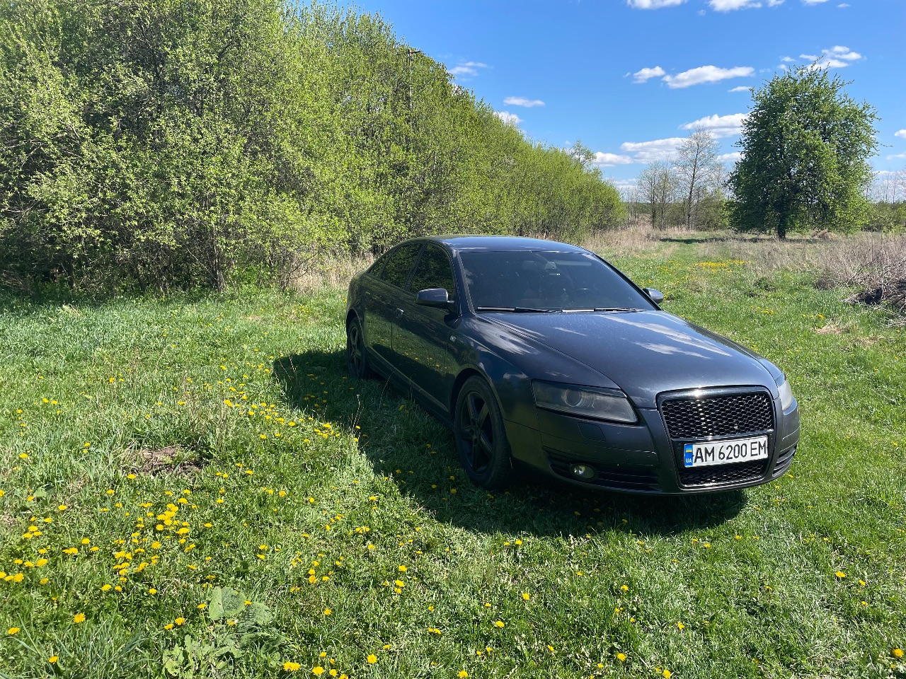 Audi A6 - фото 3