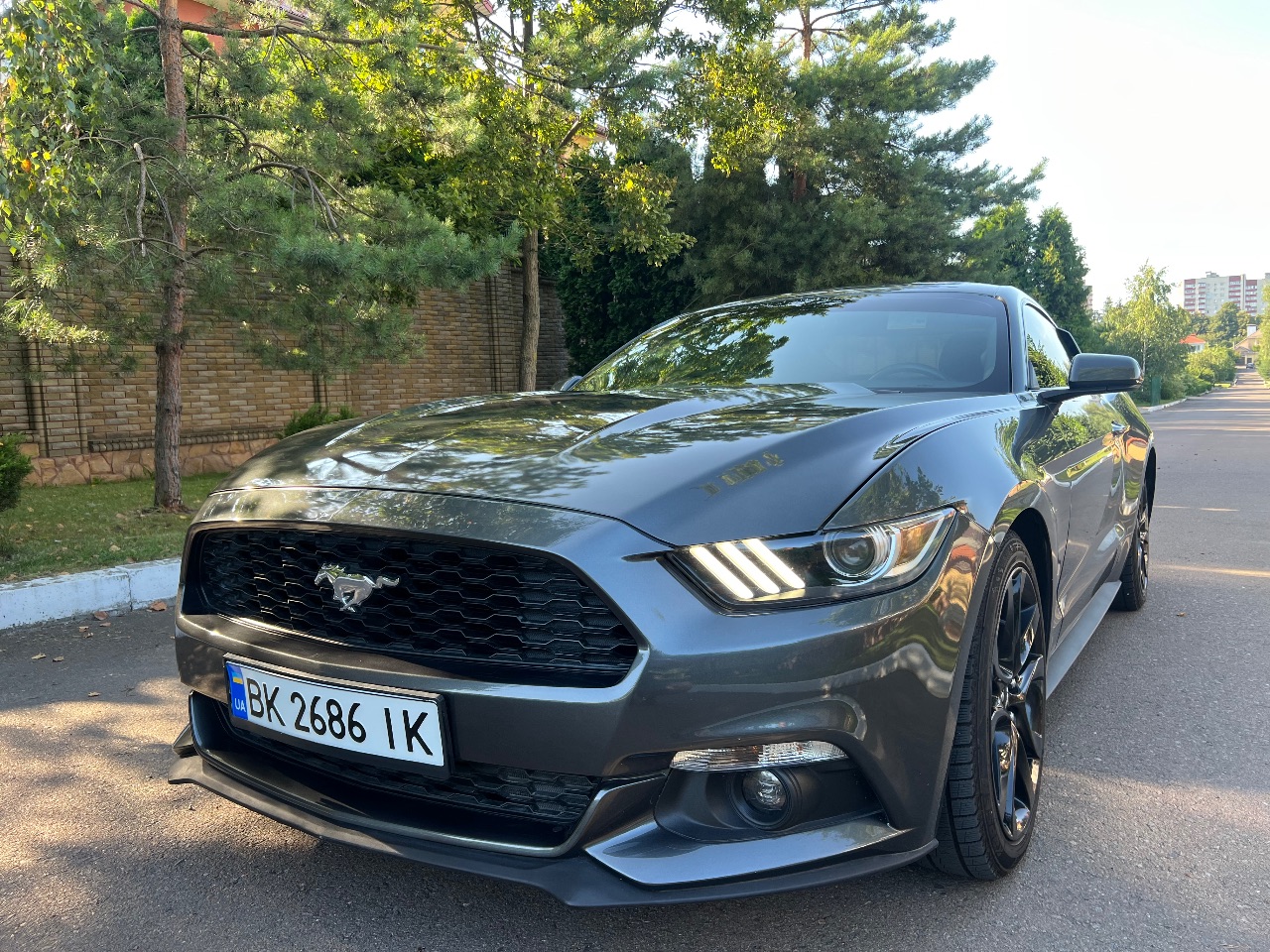 Ford Mustang - фото 4