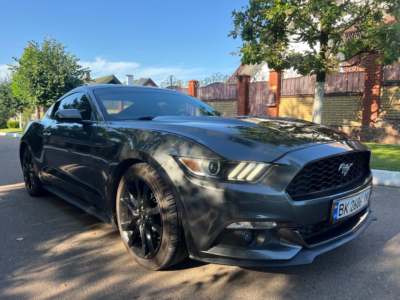 Ford Mustang - фото 5