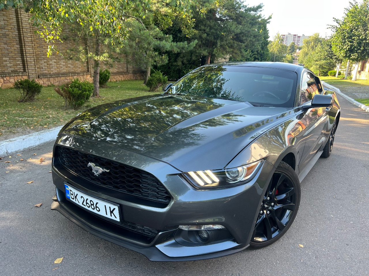 Ford Mustang - фото 1