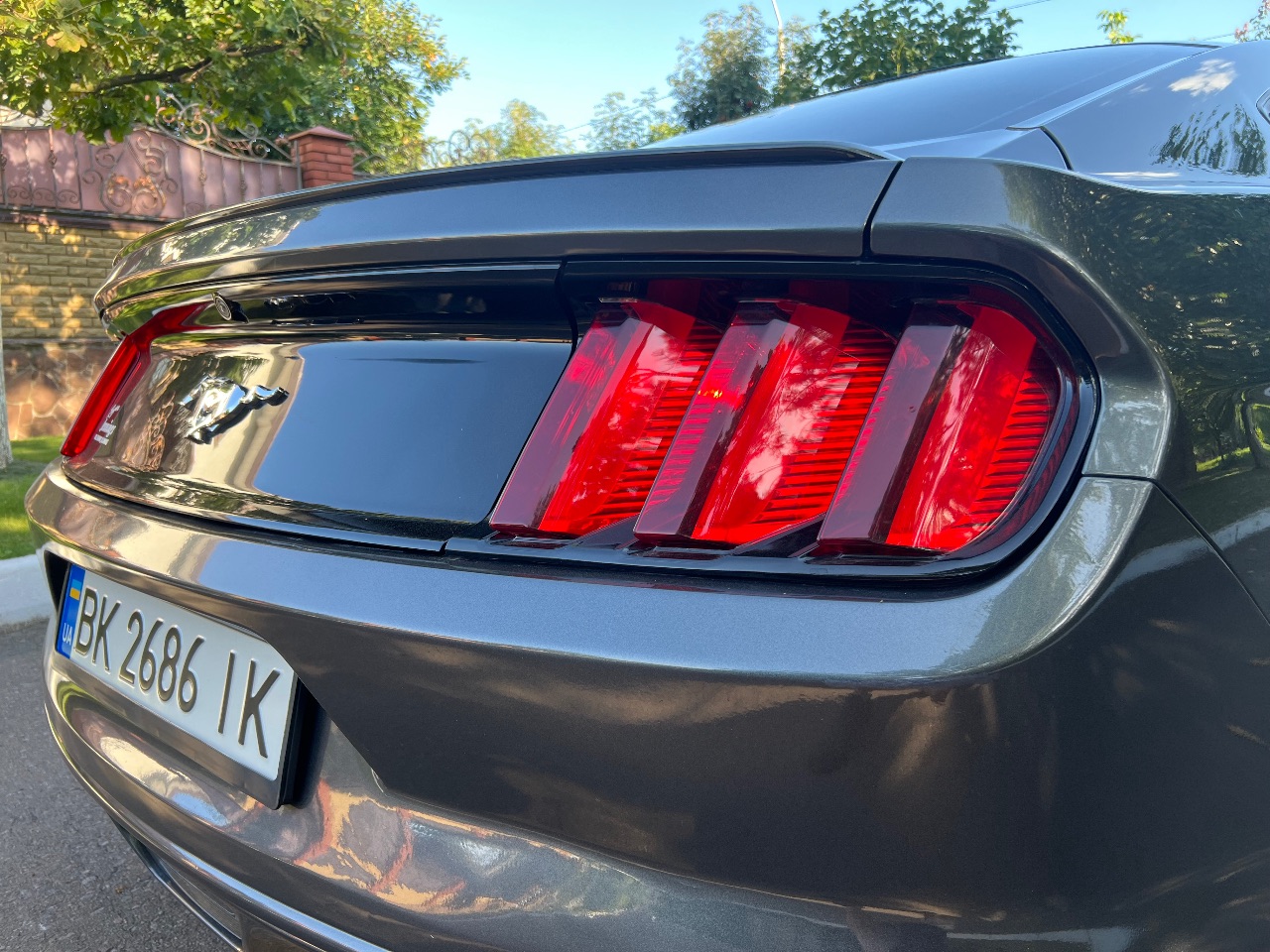 Ford Mustang - фото 14