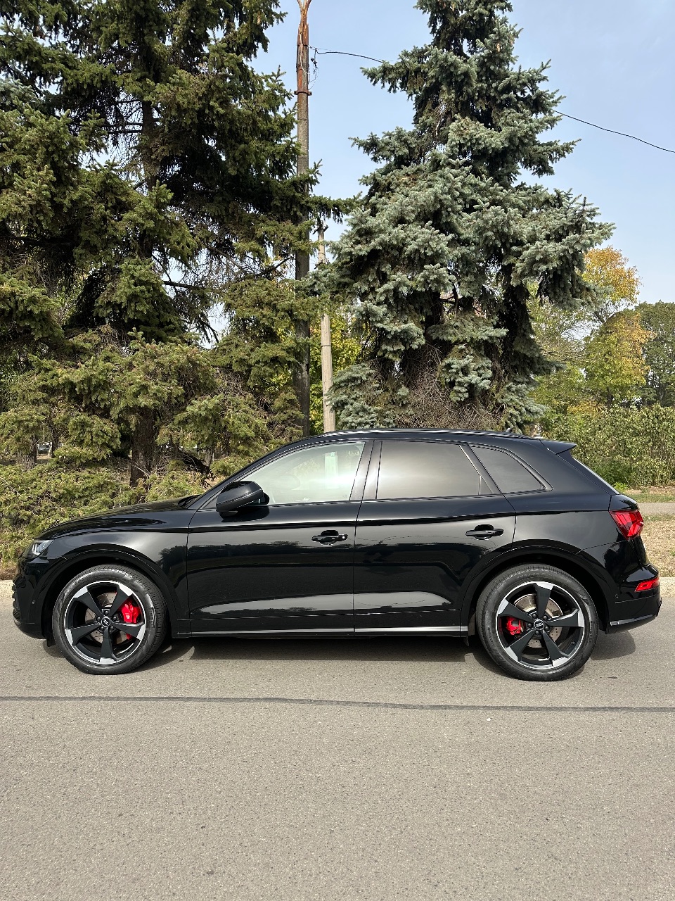 Audi SQ5 - фото 4