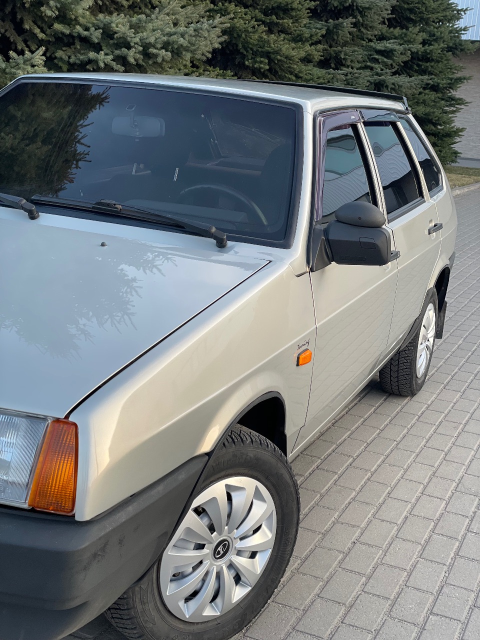 Lada (ВАЗ) 2109 - фото 13