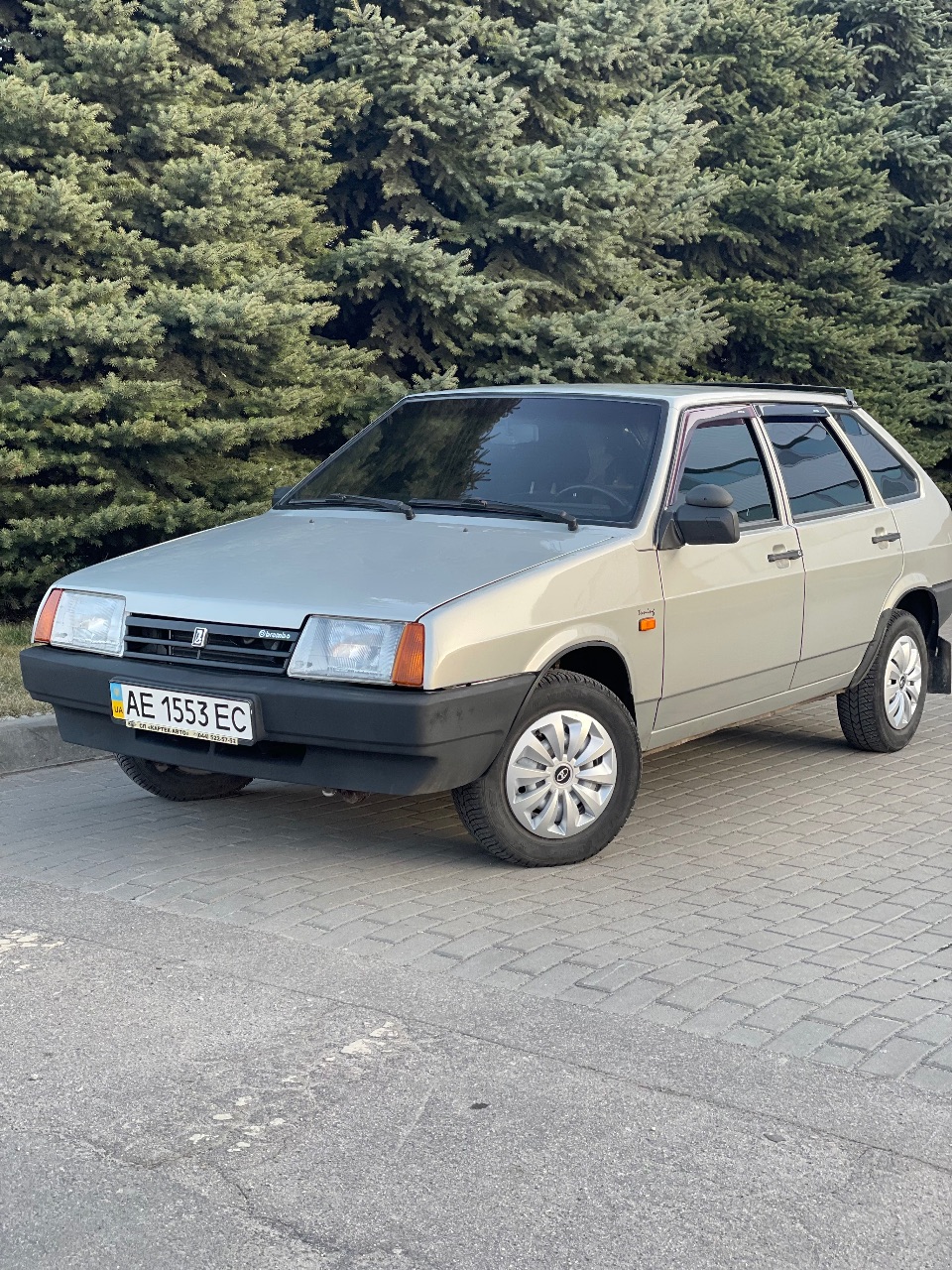 Lada (ВАЗ) 2109 - фото 10