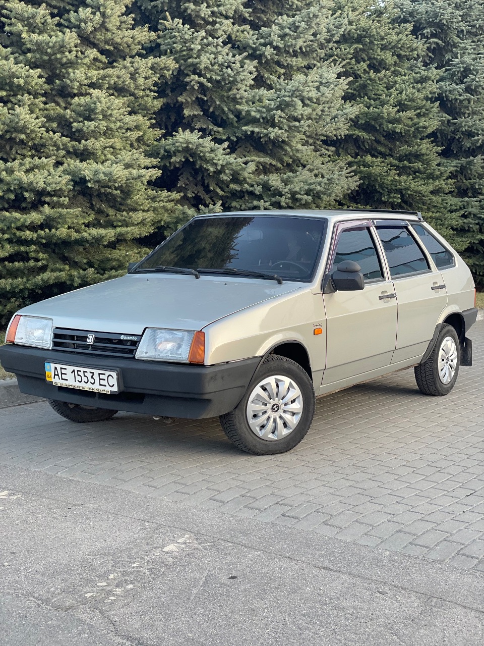 Lada (ВАЗ) 2109 - фото 9