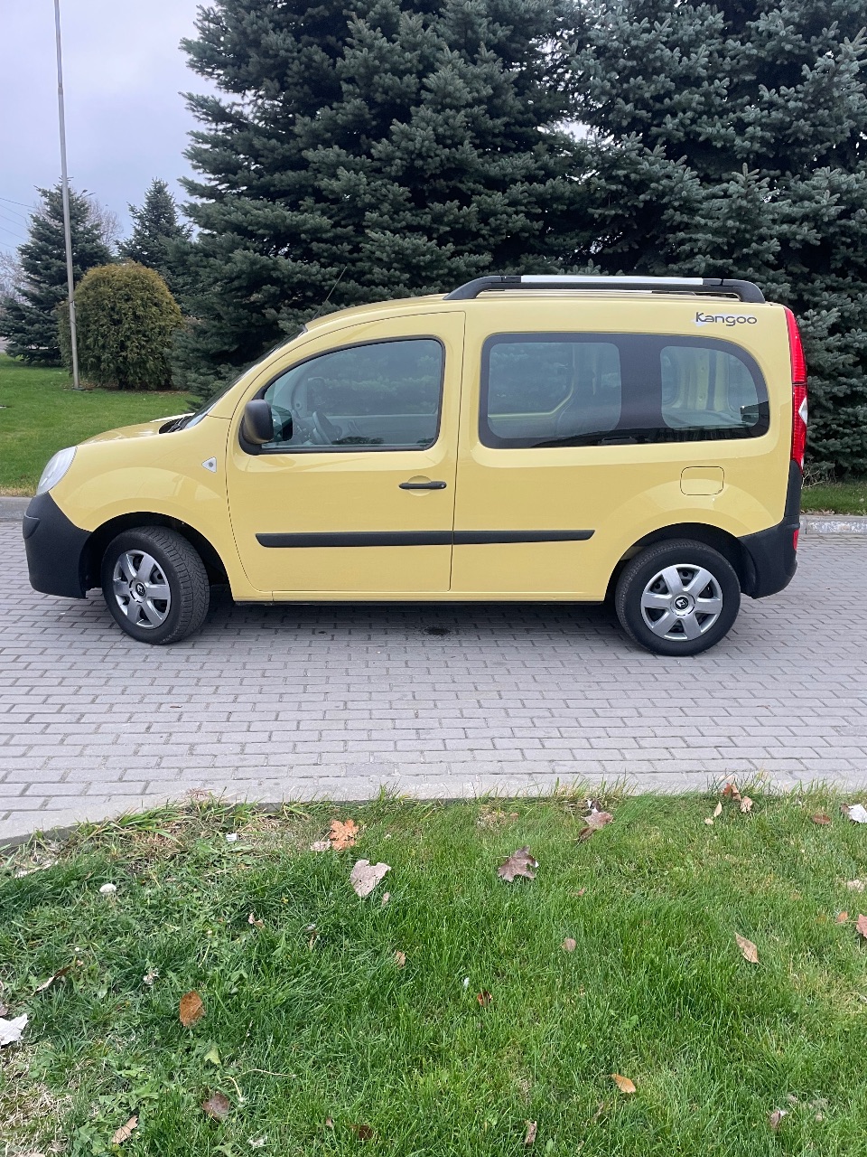Renault Kangoo - фото 7