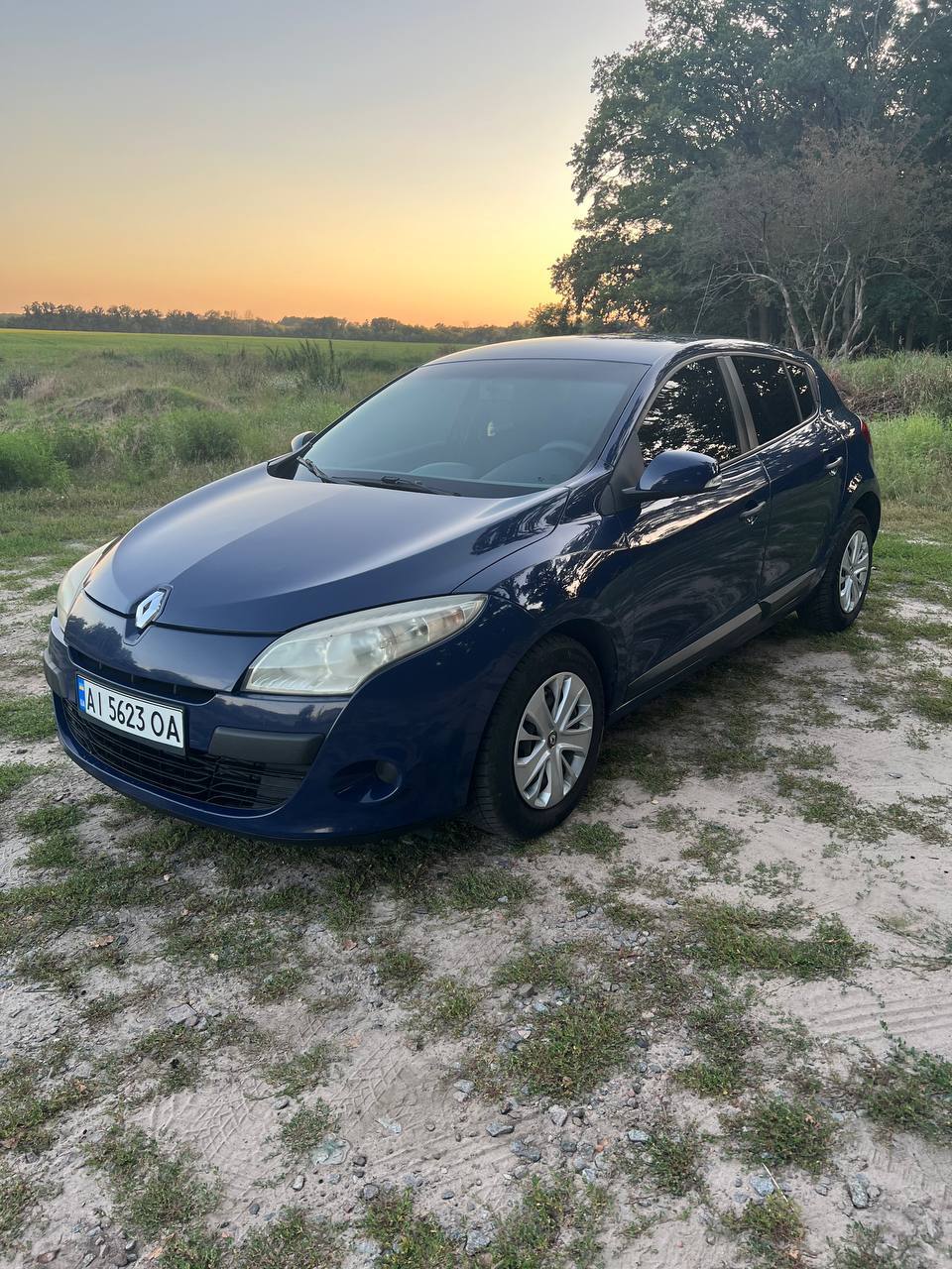 Renault Megane - фото 15