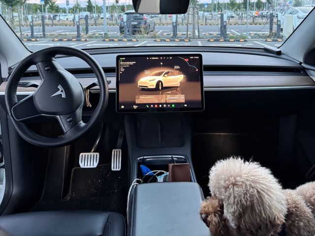 Tesla Model Y - зображення 4