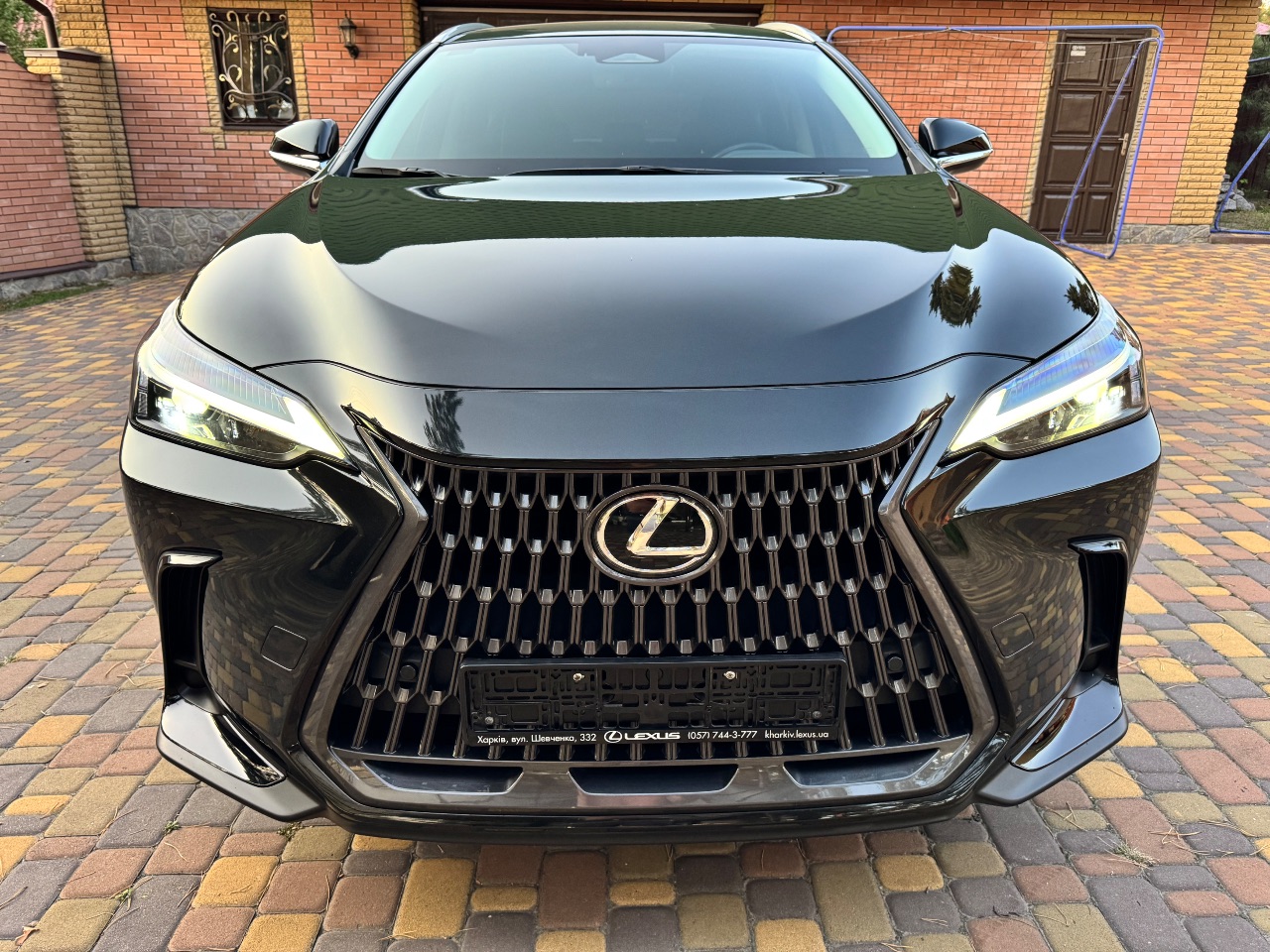 Lexus NX - фото 6