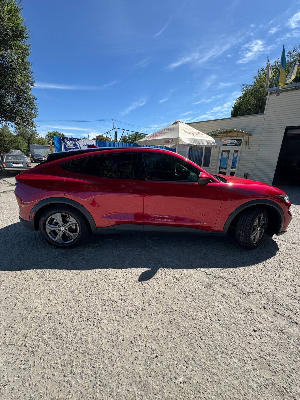 Ford Mustang Mach-E - фото 15