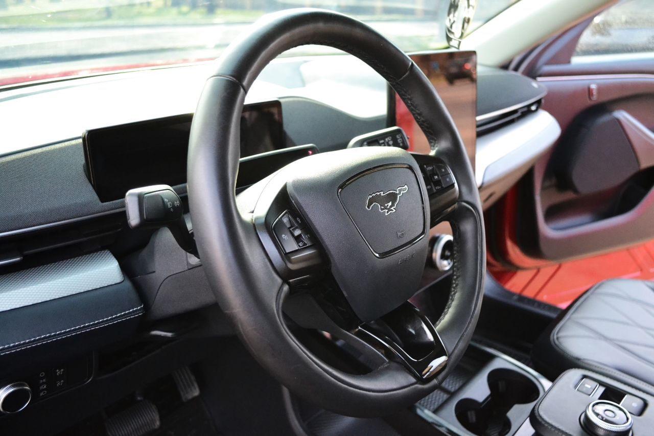 Ford Mustang Mach-E - фото 25