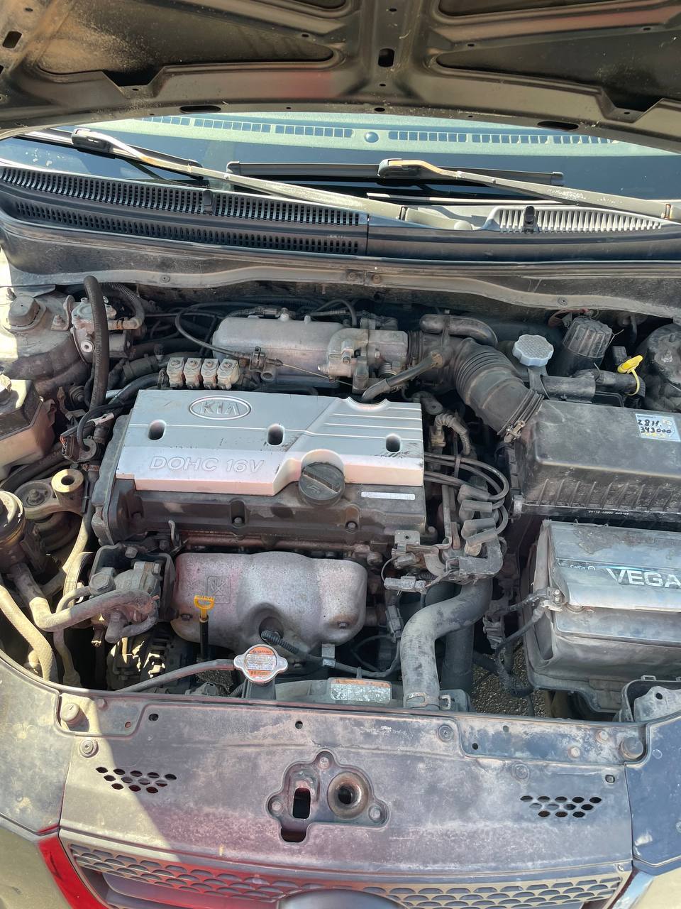 Kia Rio - фото 14