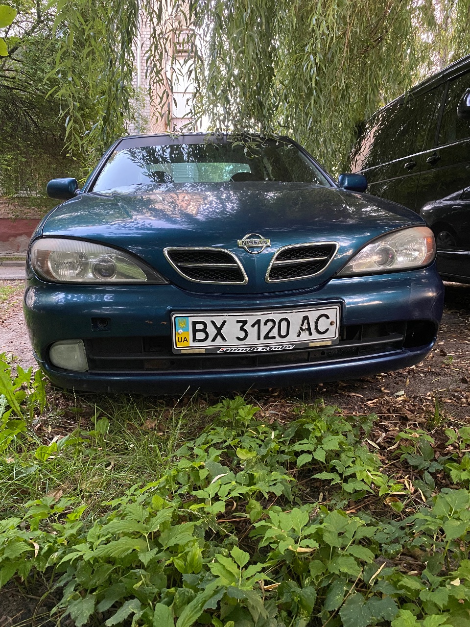 Nissan Primera - фото 1