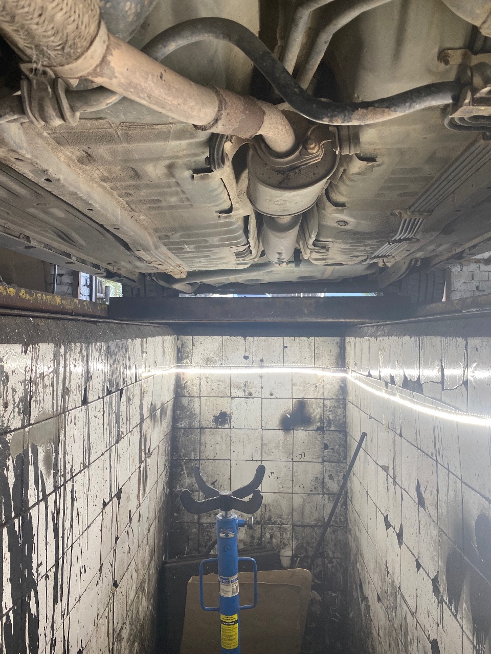 Nissan Primera - фото 5