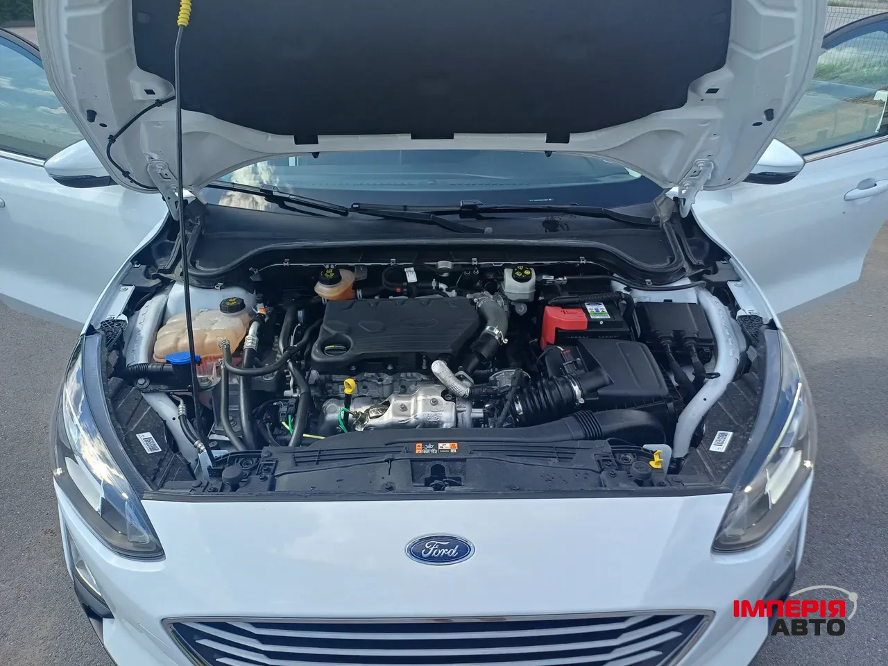 Ford Focus - фото 4