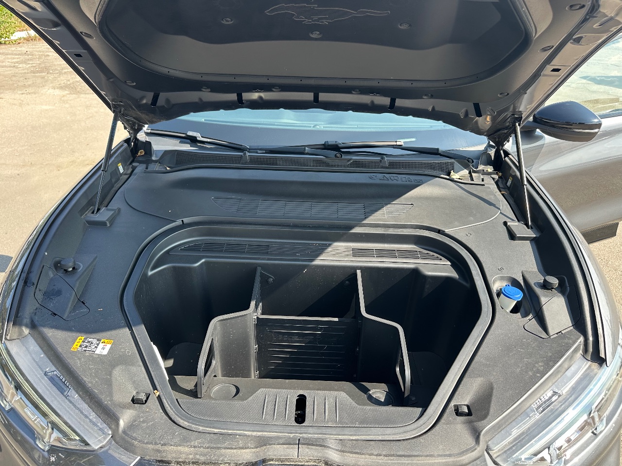 Ford Mustang Mach-E - фото 26