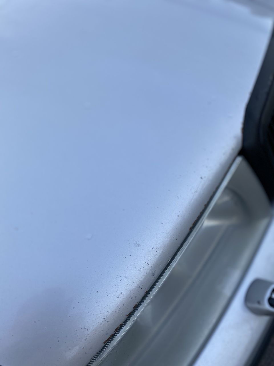 Skoda Octavia RS - фото 20