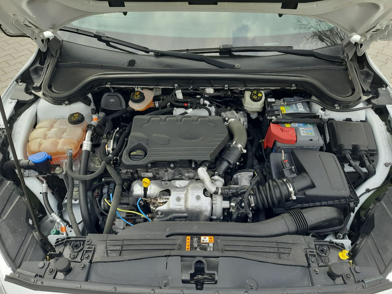 Ford Focus - фото 54