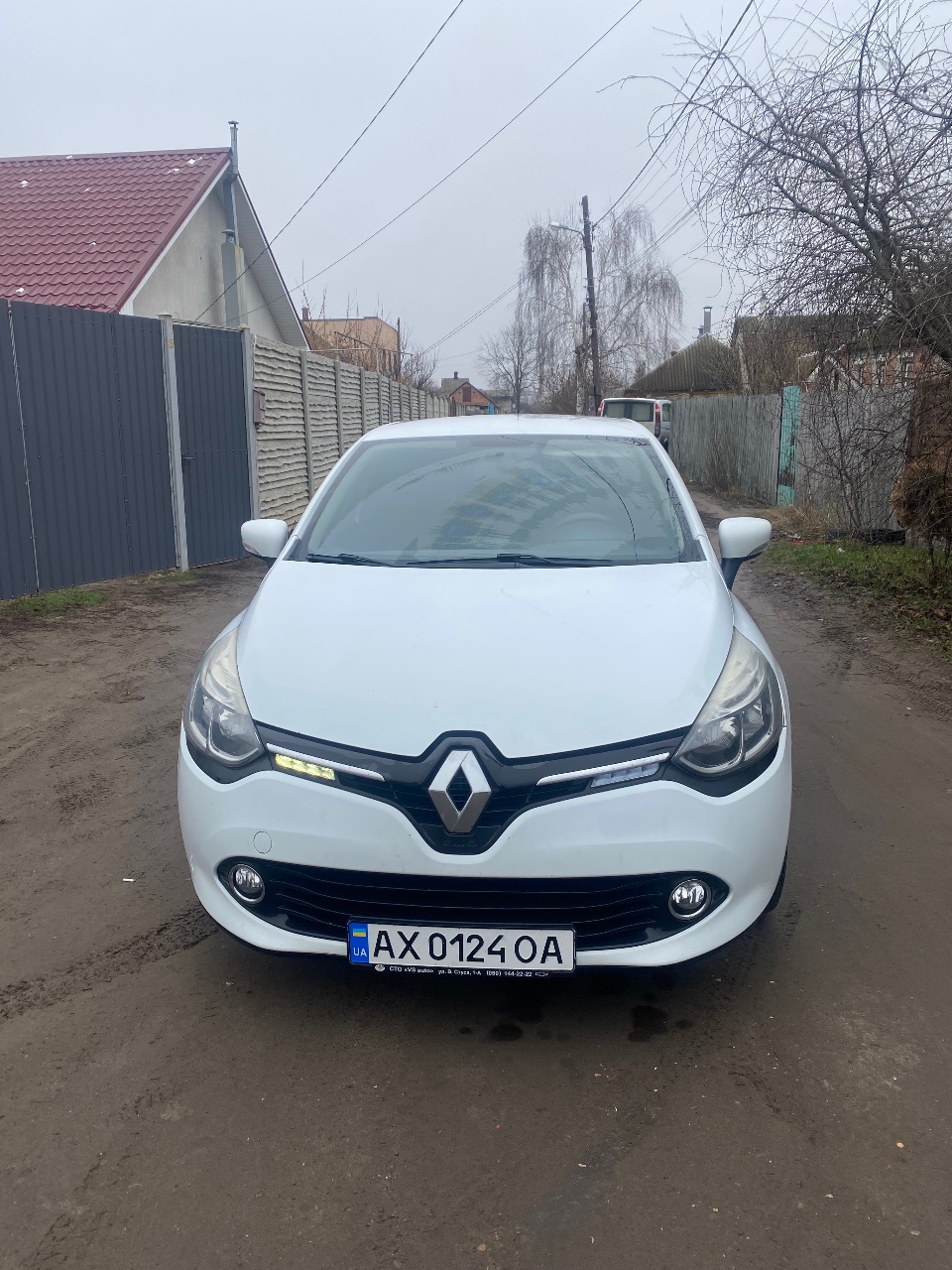Renault Clio - фото 1