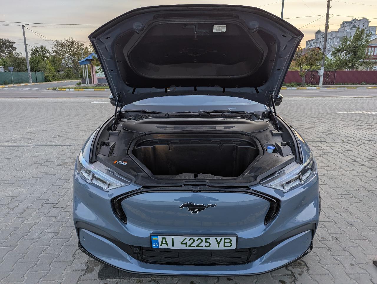 Ford Mustang Mach-E - фото 3